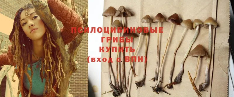 Галлюциногенные грибы Cubensis  купить наркоту  Константиновск 